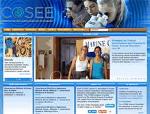 Tablet Screenshot of cosee.net